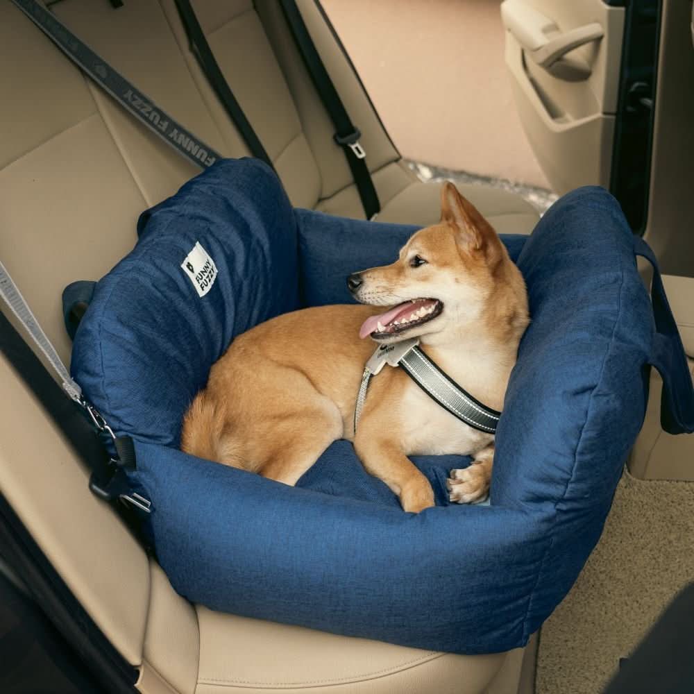 Happy dog enjoying a comfortable ride in a car booster seat with safety belt.