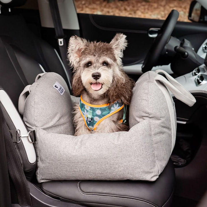 Stylish & functional dog car booster seat with safety belt and non-slip base for all trips.