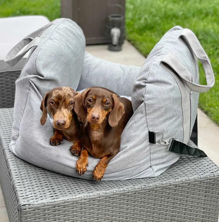 Medium dog car bed, elevated design, keeps pet comfortable and safe on trips.