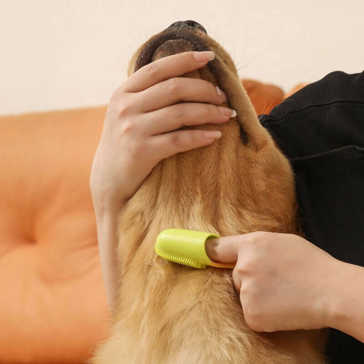 Veterinarian-recommended finger brush for routine dog & cat dental hygiene & gum massage