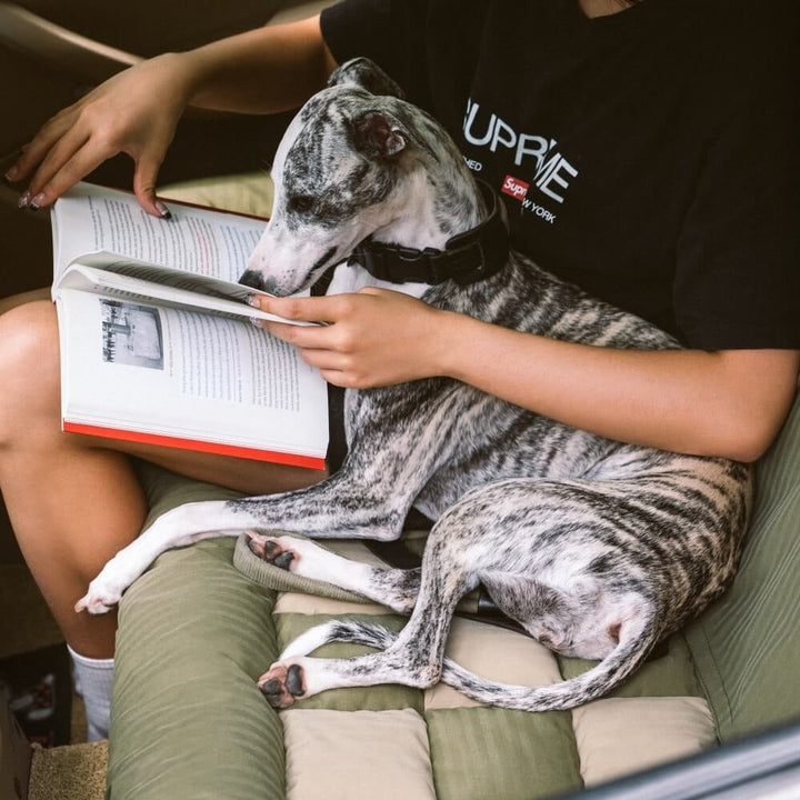 Comfortable chessboard dog car bed, orthopedic pet lounge for long trips, folded for storage