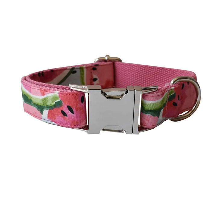 Watermelon print dog collar with matching leash, featuring a cute bow, perfect for a stylish dog walk.