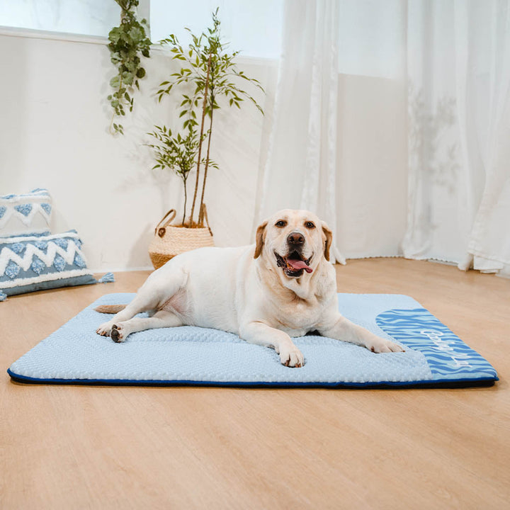Dog cooling mat with blue gel interior, non-slip base for summer comfort, ideal pet bed.