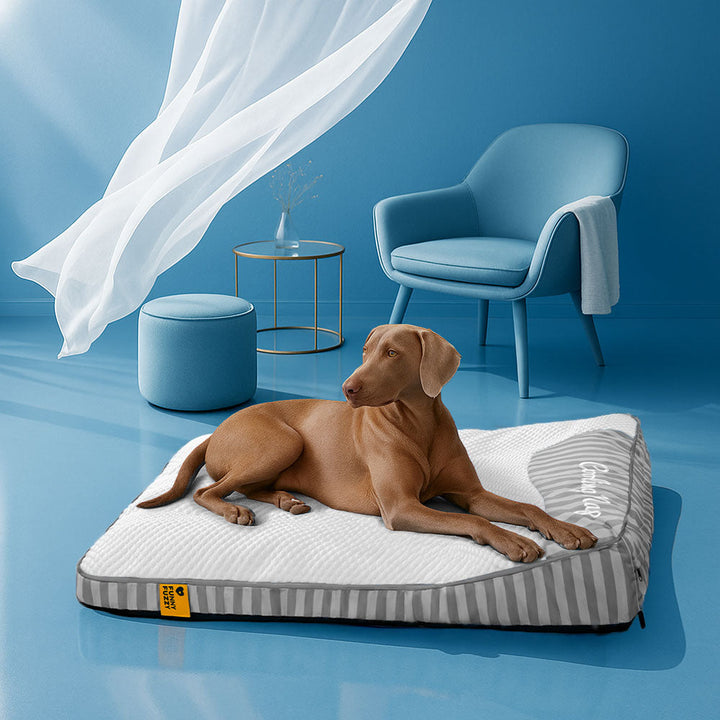 Cooling pet bed with innovative non-slip technology, offering maximum comfort for dogs.