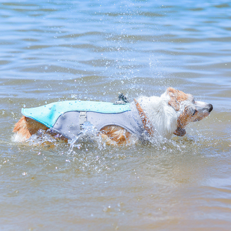 Lightweight dog vest for summer, providing heat relief and UV protection for active pets.