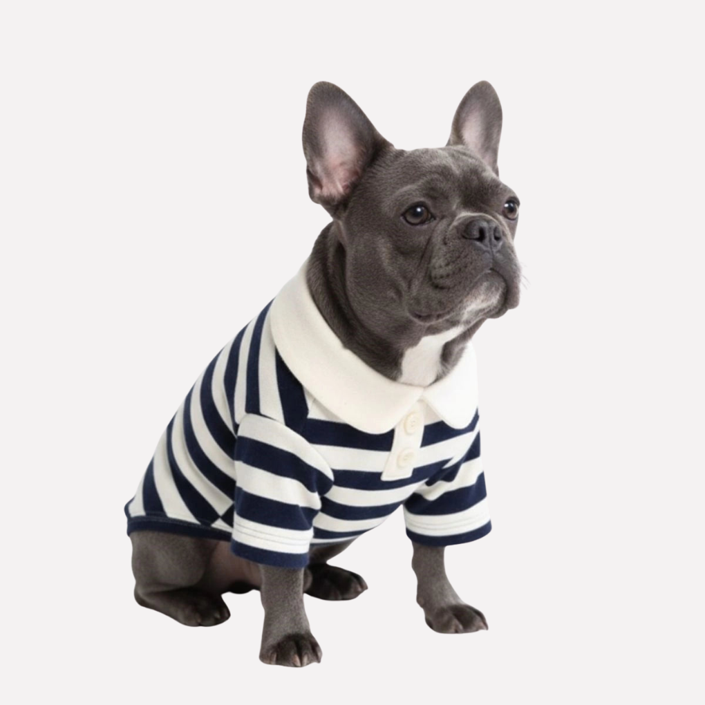 Dog in classic red and white striped polo shirt, comfortable pet apparel for stylish canine fashion.