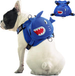 Blue Shark