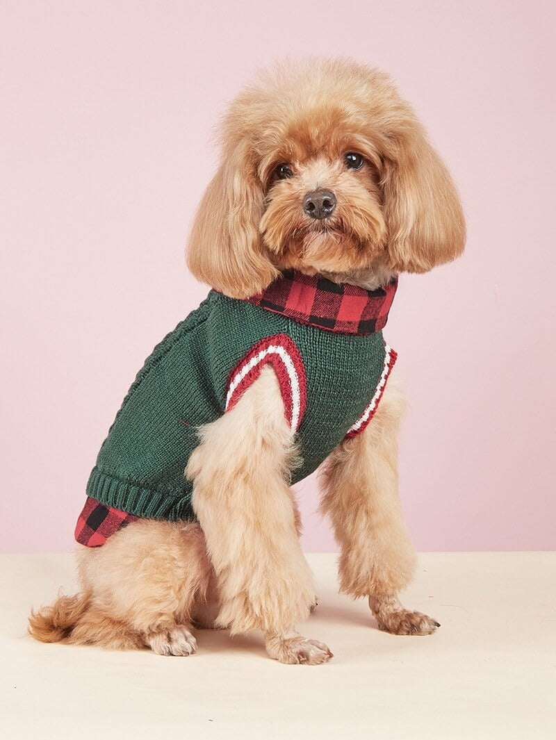 Warm dog vest: Cable knit jumper with plaid collar, perfect pet apparel
