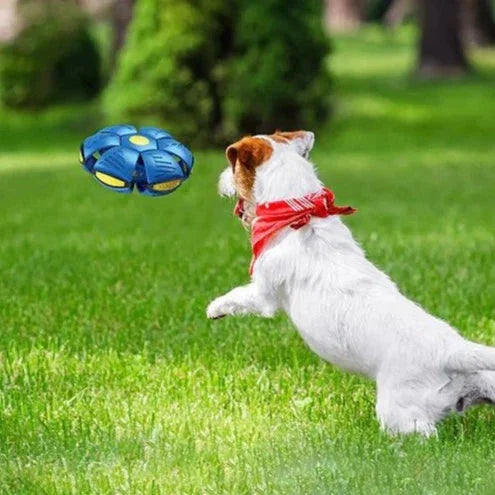 Durable dog chew toy, Pop-Up Disc Ball for outdoor adventures & engaging pet play