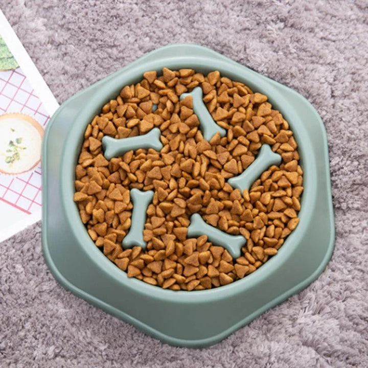 Pet feeding slow feeder with unique design to slow down dog's eating, preventing choking