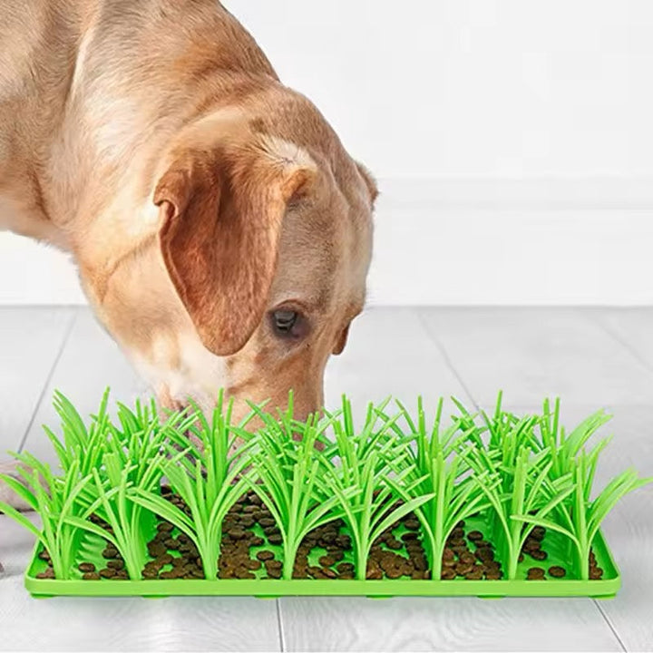 Overhead view of a snuffle mat puzzle toy for pet mental enrichment
