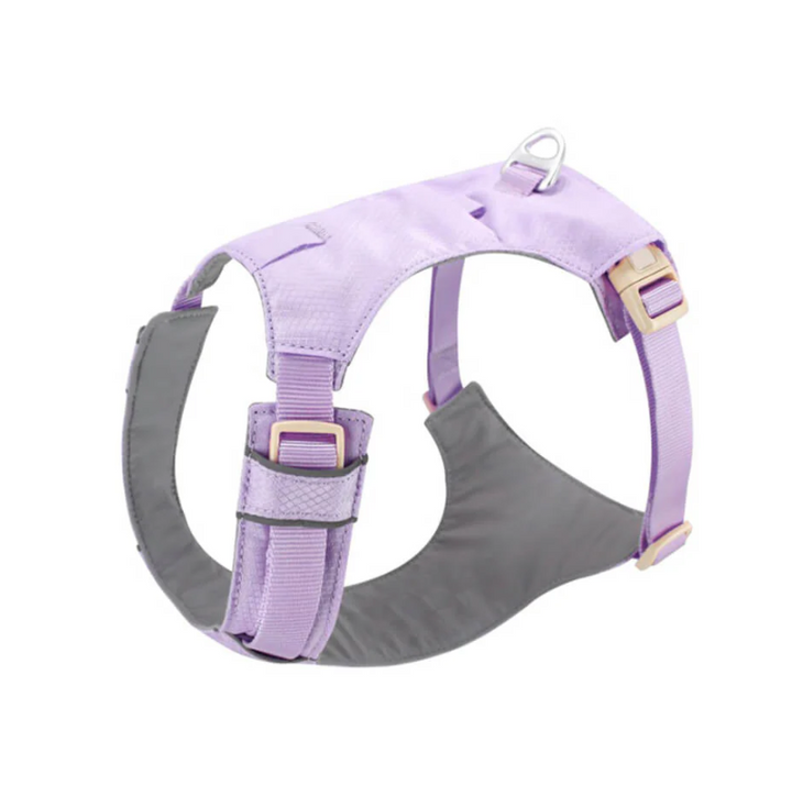 Dog wearing black no-pull comfort harness with adjustable leash, front view, outdoors.