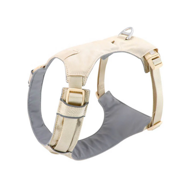 Reflective no-pull dog harness with a blue adjustable leash, showing sturdy buckles.