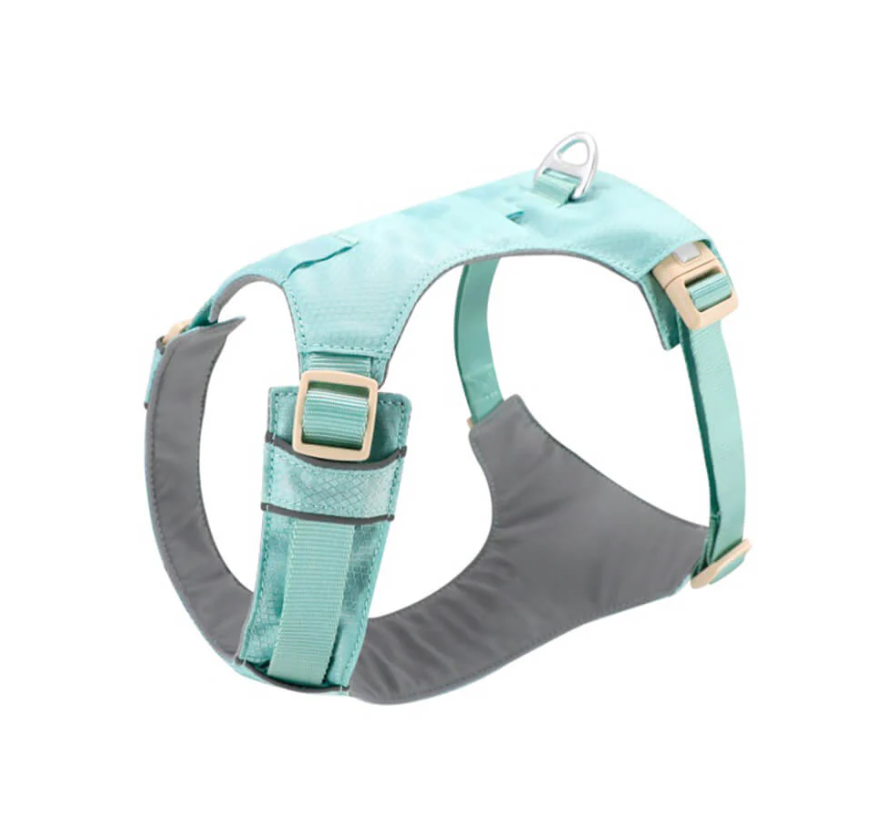 Dog walking peacefully on an adjustable leash with a red no-pull comfort harness.