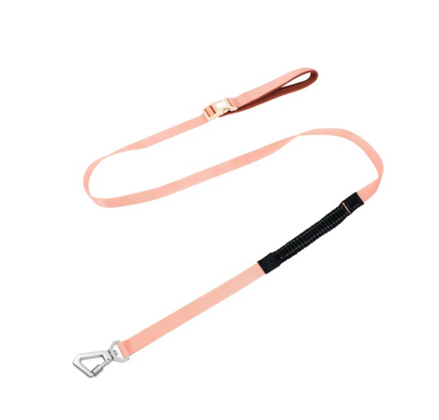 Pet supplies: A no-pull dog harness and matching adjustable leash displayed on a white background.