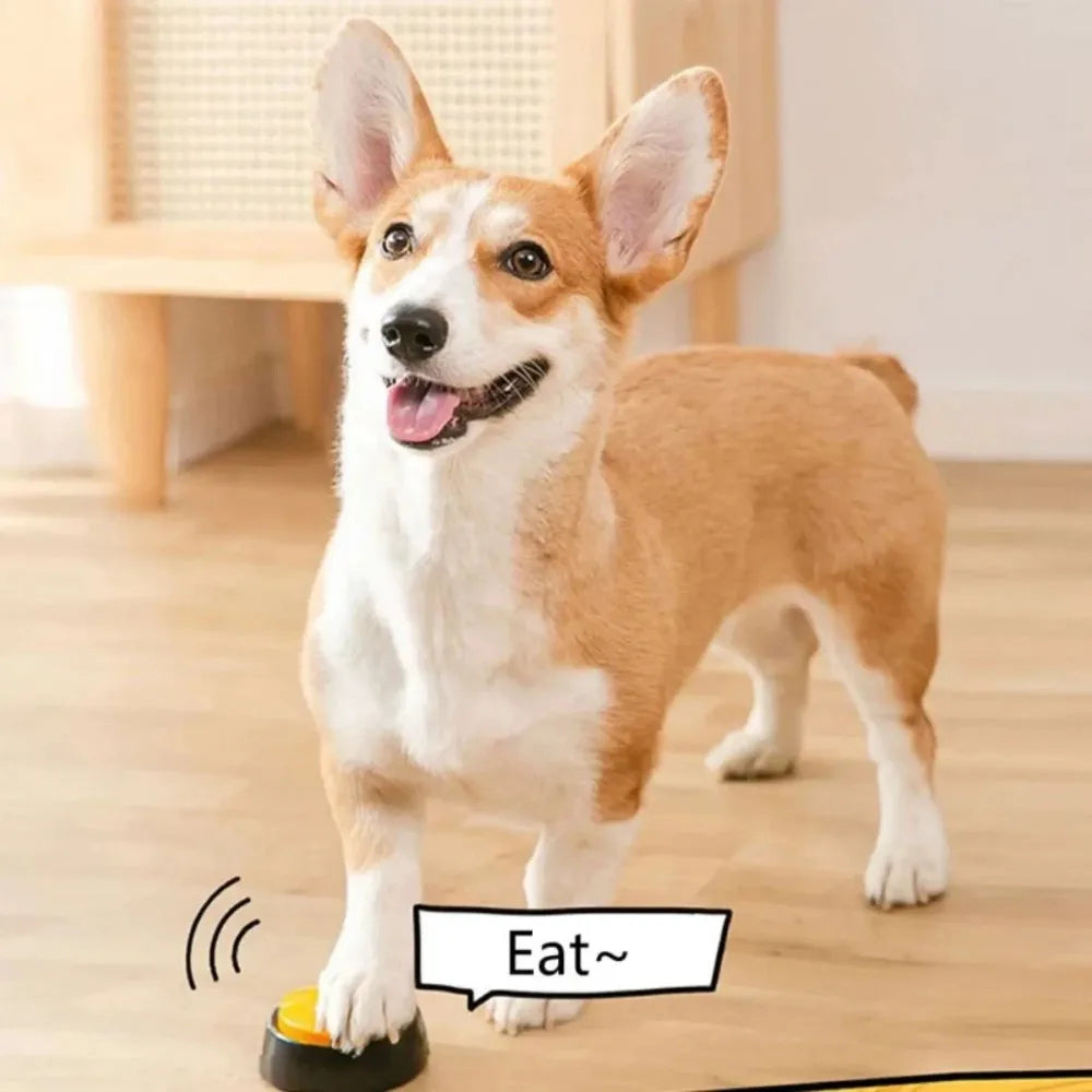 Interactive dog training buttons teach pets to express needs & commands effectively.
