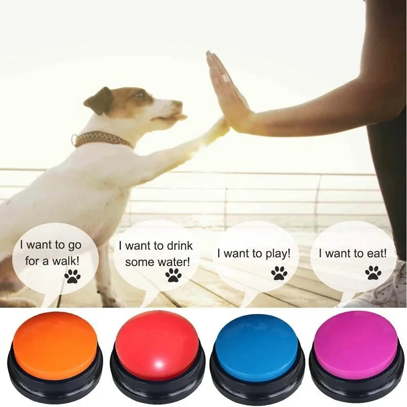 Pet owner teaching dog to communicate using interactive speech buttons, a smart pet gadget.