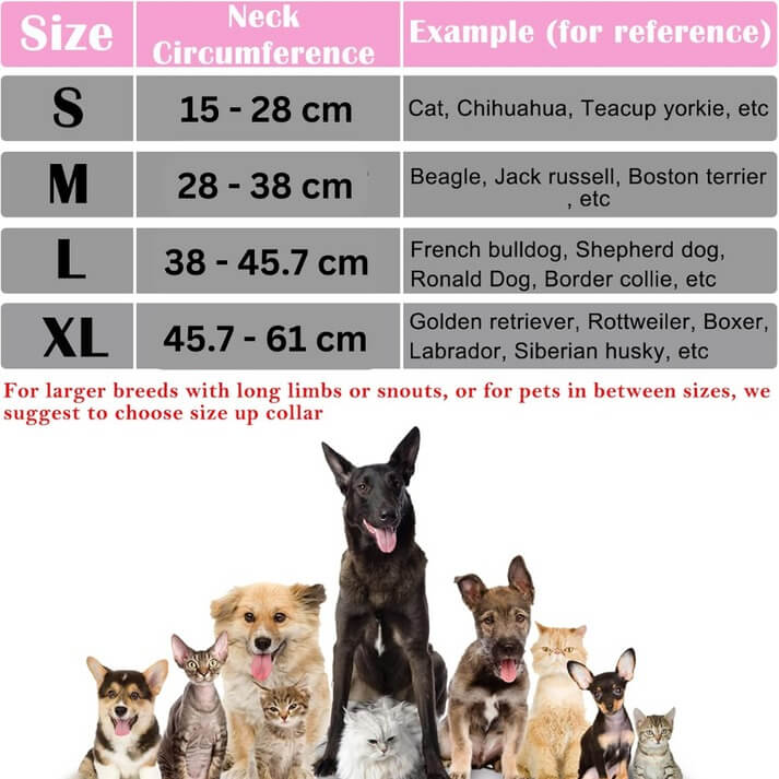 Komfortabler Aufblasbarer Kragen