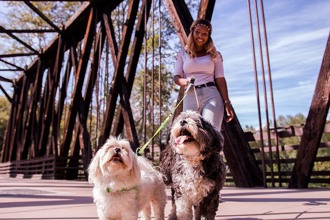 "Dual Dog Flexileine mit 360-Grad-Technologie, ergonomisch, reflektierend, für zwei Hunde, farbcodierte Leinen"