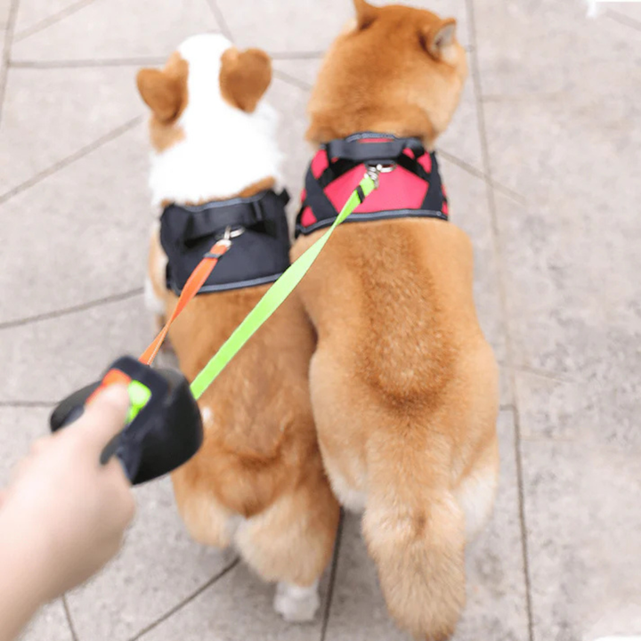 Reflective nylon dual dog leash featuring 360-degree tangle-free swivel and bright LED flashlight for secure pet walking.