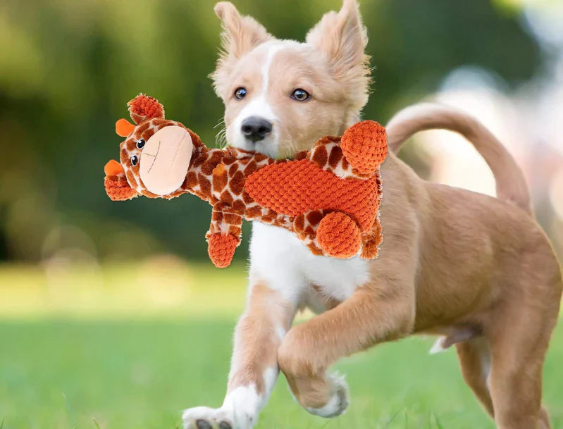 Aggressive dog chewer toy, Beast Chew, robust plush squeaker for lasting pet entertainment