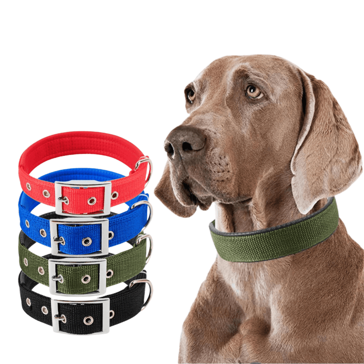 Green adjustable nylon dog collar, strong pet gear, comfortable for everyday wear.