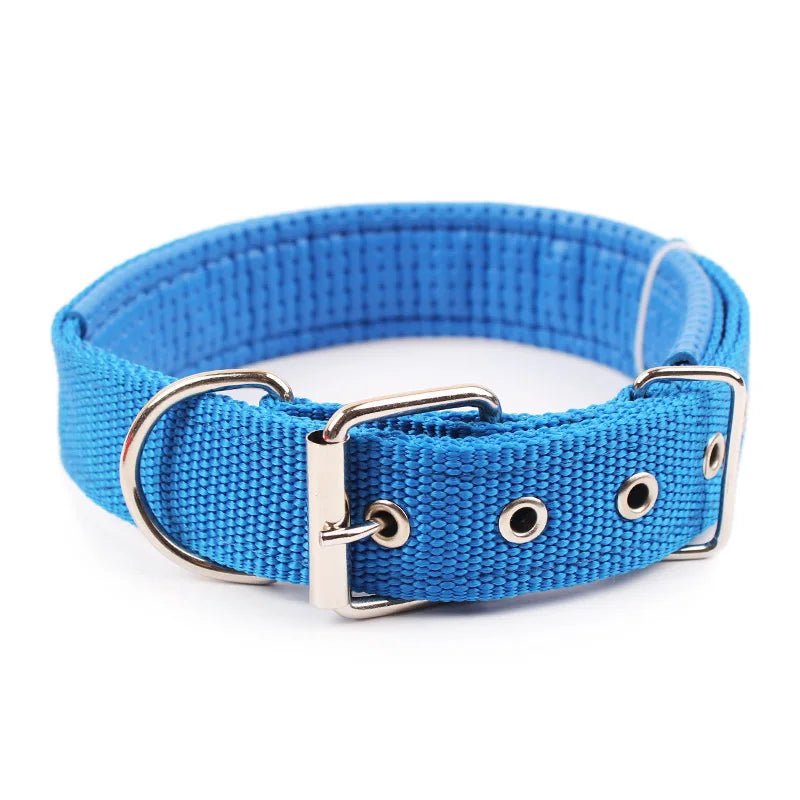 Reflective orange nylon dog collar, durable, adjustable, and comfortable for night walks.