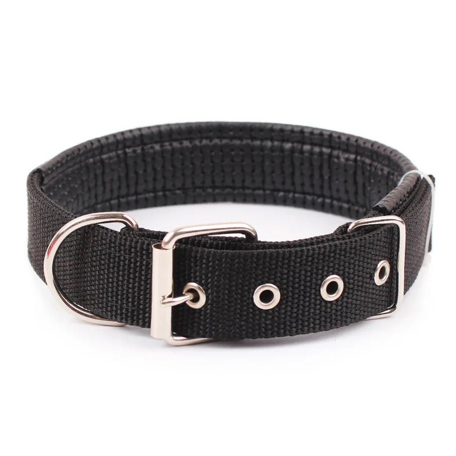 Durable black nylon dog collar with adjustable secure fit, perfect for outdoor activities & pet safety.