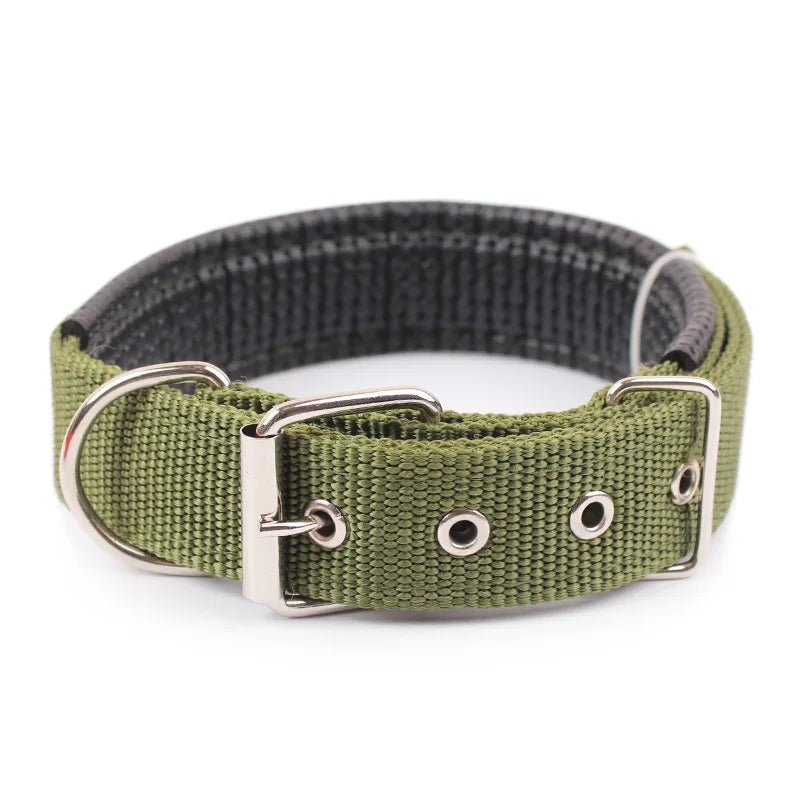 Close-up of a high-quality, adjustable black nylon dog collar, showcasing durable stitching & secure clasp.