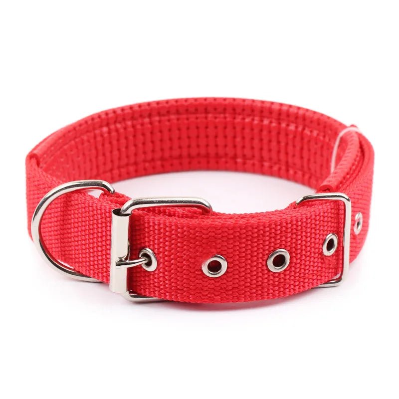 Set of durable nylon dog collars in various colors, adjustable and perfect pet accessories for any dog.