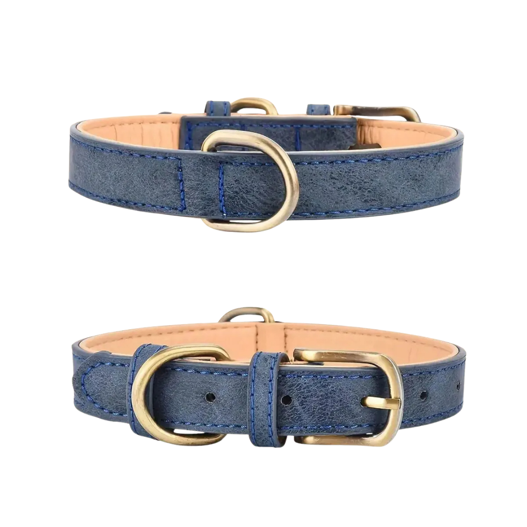 Comfortable and sturdy leather dog collar, ideal for active dogs, vintage look