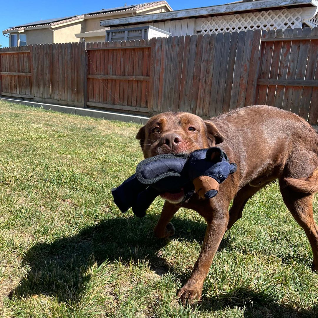 Aggressive chewer dog plush toy, grey and orange, robust and interactive.