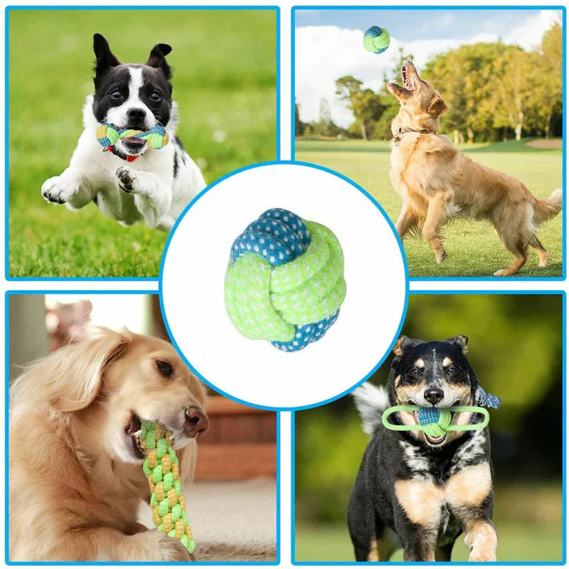 Durable knotted rope dog chew toy, white and blue, promoting dental health & interactive play for pets.