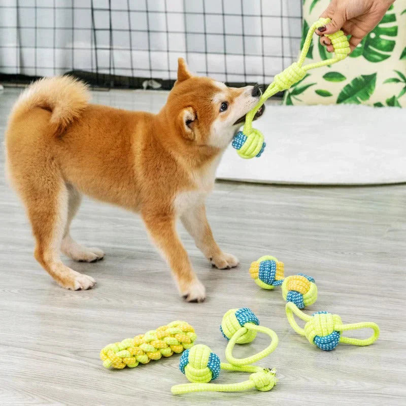 Pet owner playing fetch with their dog using a durable knotted rope toy, promoting exercise & dental health.