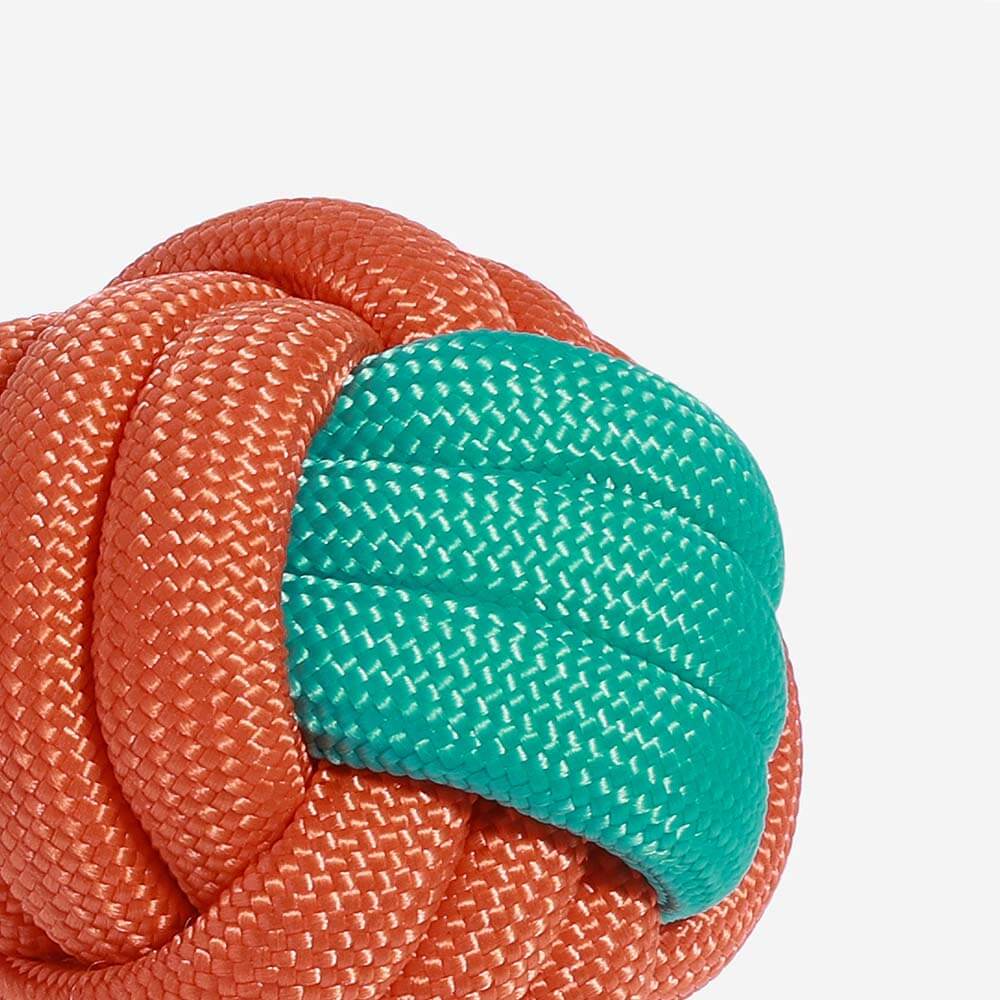 Teeth cleaning rope dog toy with multiple knots, perfect for aggressive chewers.