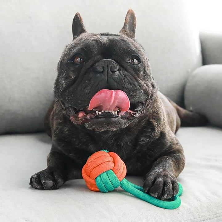Interactive Knots Rope Tug Dog Toy designed for dental health and fun pet play.
