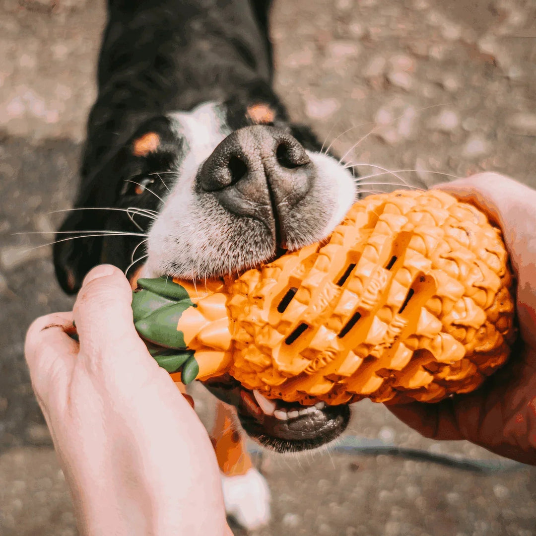 Indestructible pineapple dog toy, natural rubber chew for aggressive chewers, helps clean teeth