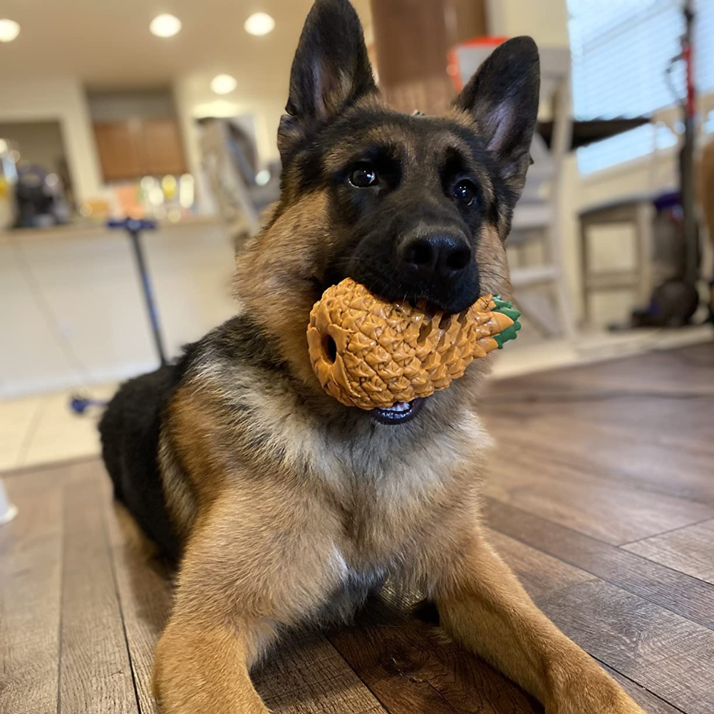 Bright yellow pineapple dog toy, tough chew and treat dispenser promoting active play and clean teeth