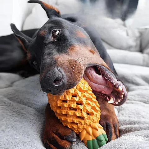 Variety of angles showing the indestructible pineapple dog chew toy, a natural rubber dental treat dispenser