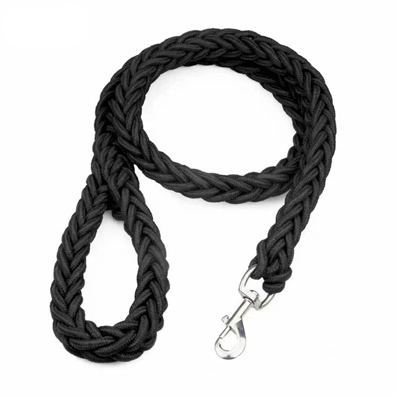 Durable red nylon dog leash for medium to large dogs, perfect for training and control.