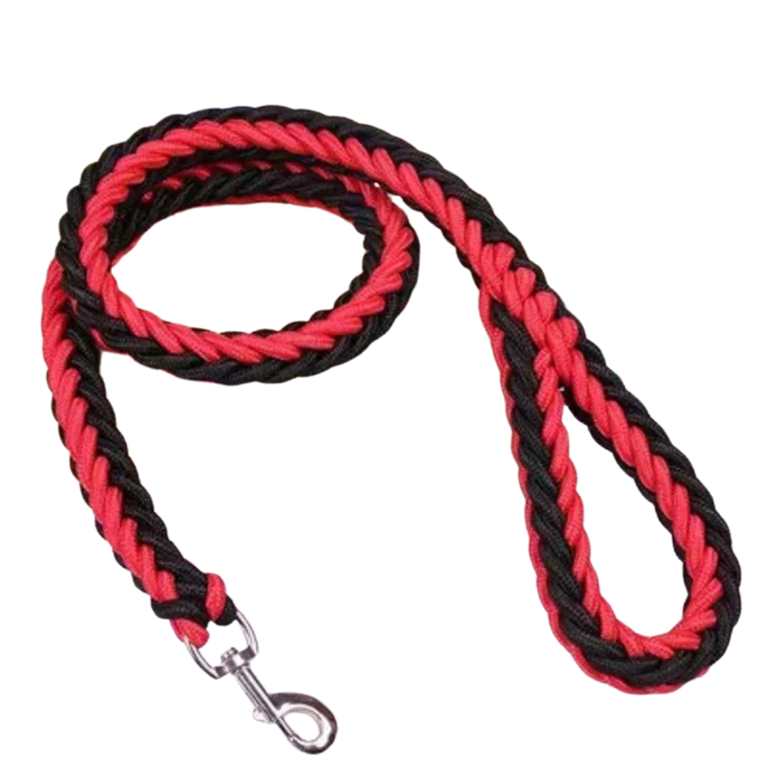 Side view of a medium-sized dog happily trotting on a green nylon training lead.