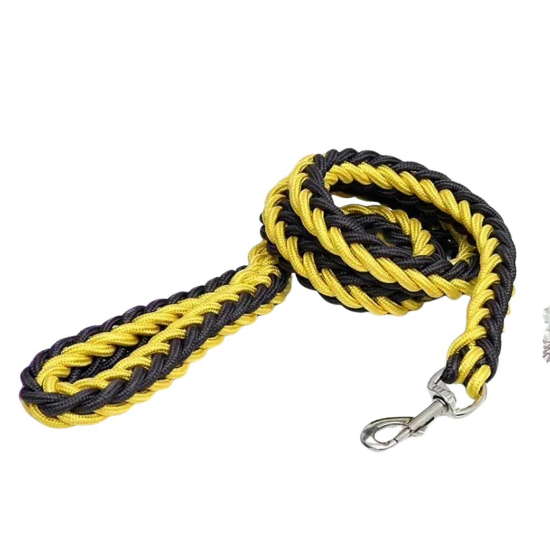 Unisex durable nylon dog leash in a vibrant blue, ideal for large dog training.