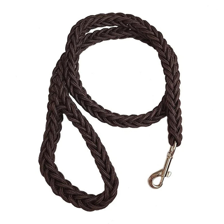 Yellow nylon dog leash with a secure swivel clasp, perfect for active dog walks.