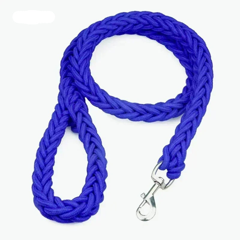 Green nylon dog leash with padded handle for extra comfort during long walks.
