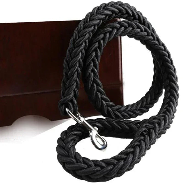 Green durable nylon dog leash designed for training and daily walks with large dogs.