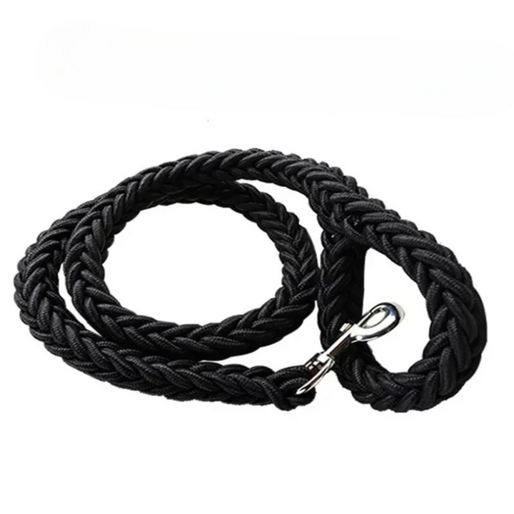 Yellow durable nylon dog leash for medium to large dogs, essential pet walking supplies.
