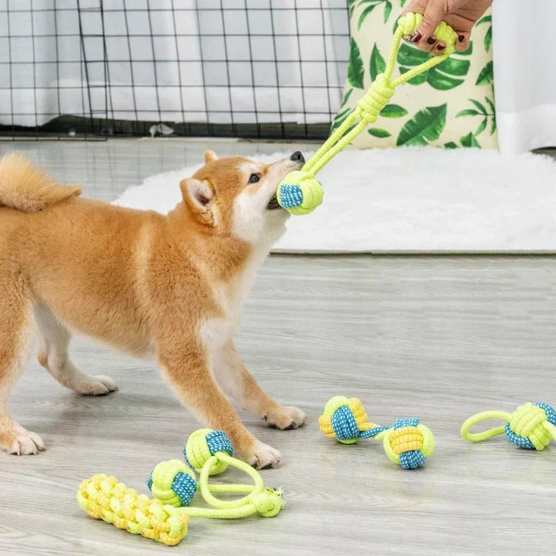 Puppy gnawing on a durable rope chew toy, supporting healthy dental development for young dogs