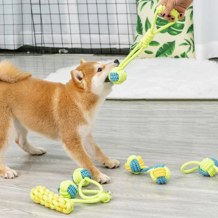 Puppy gnawing on a durable rope chew toy, supporting healthy dental development for young dogs