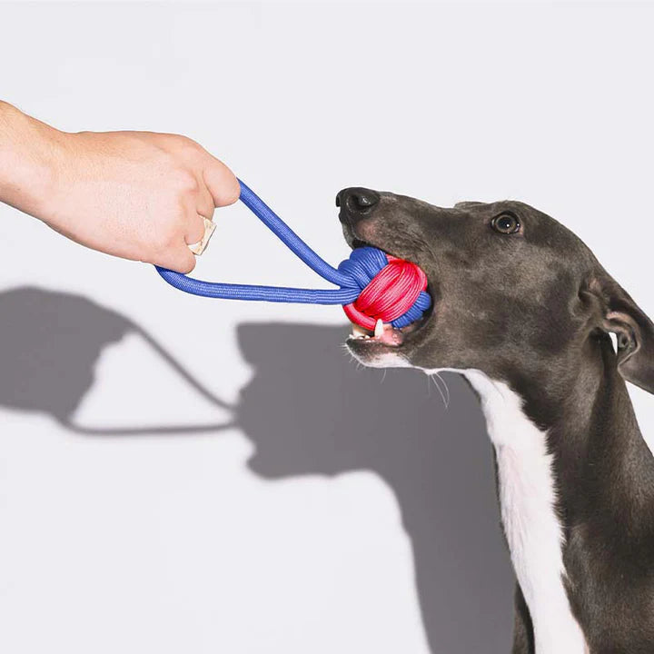 Unisex dog rope toy, a colorful braided tug with knots, perfect for aggressive chewers