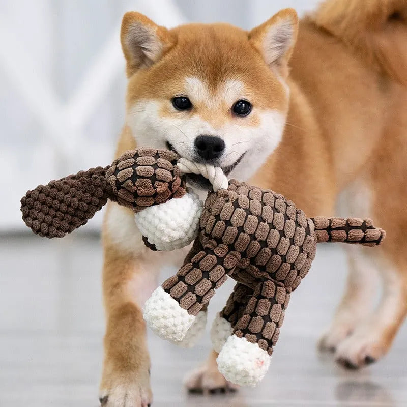 Aggressive dog chew toy, 'Immortal' plush with loud squeaker, pet enrichment